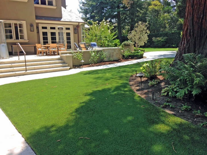 Synthetic Grass Vandenberg Air Force Base, California Roof Top, Backyard Landscaping Ideas