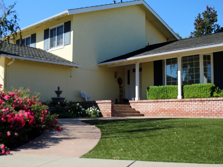 Synthetic Lawn Cudahy, California Design Ideas, Front Yard