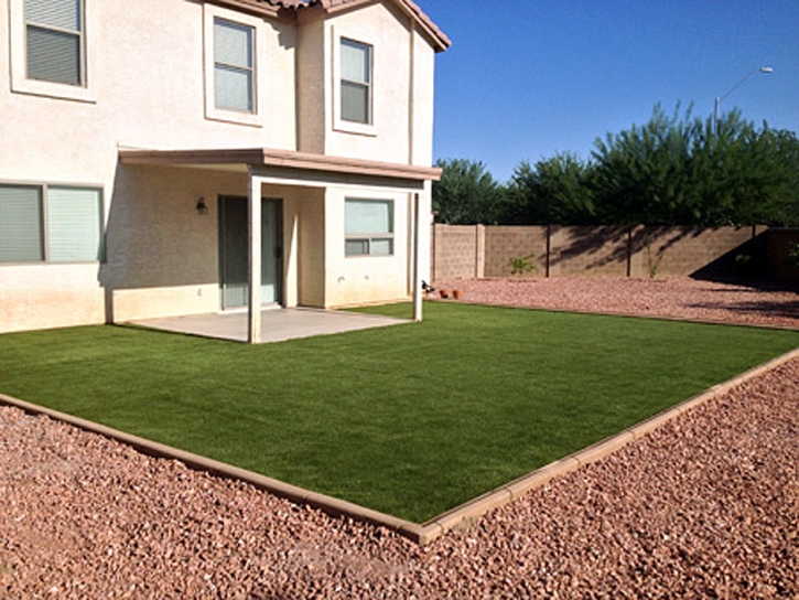 Synthetic Lawn Derby Acres, California Landscape Design, Backyard Landscaping