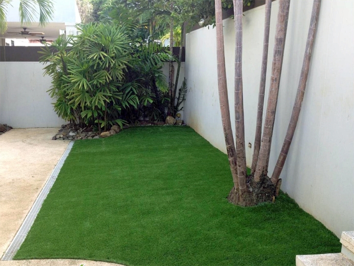 Synthetic Lawn Desert View Highlands, California Landscape Ideas, Backyard Ideas