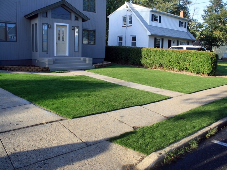 Synthetic Lawn Pomona, California Landscape Design, Front Yard Design