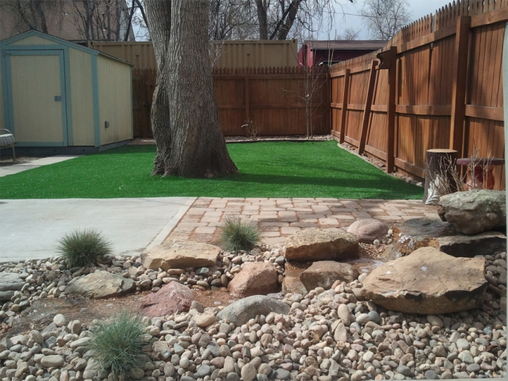 Synthetic Lawn Seal Beach, California Lawn And Landscape, Backyard Design