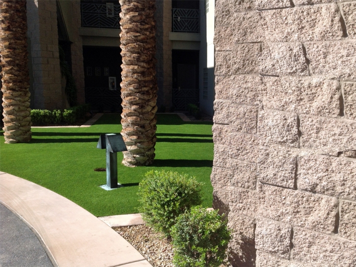 Synthetic Turf Carson, California Landscape Photos, Commercial Landscape