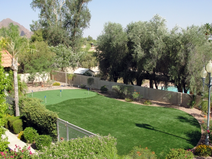 Synthetic Turf East La Mirada, California Best Indoor Putting Green, Backyard Landscaping Ideas