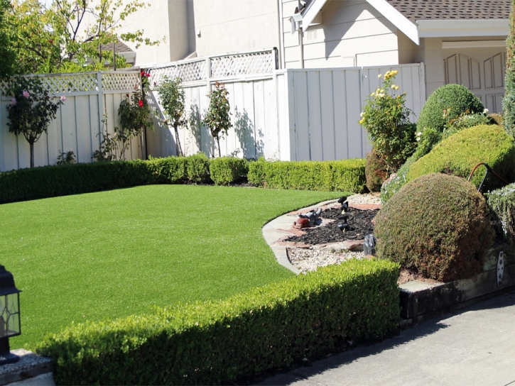 Synthetic Turf Goleta, California Rooftop, Front Yard Landscaping Ideas