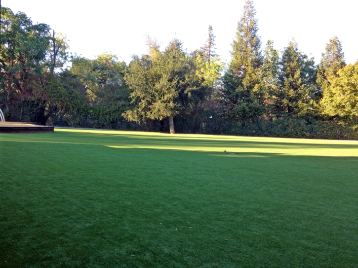 Synthetic Turf Long Beach, California Landscape Photos, Recreational Areas