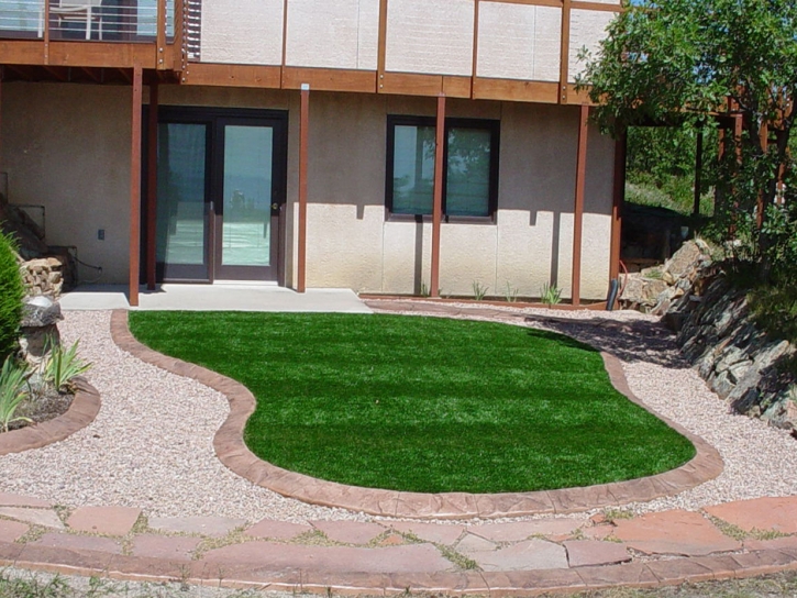 Synthetic Turf Marina del Rey, California City Landscape, Front Yard Landscaping Ideas