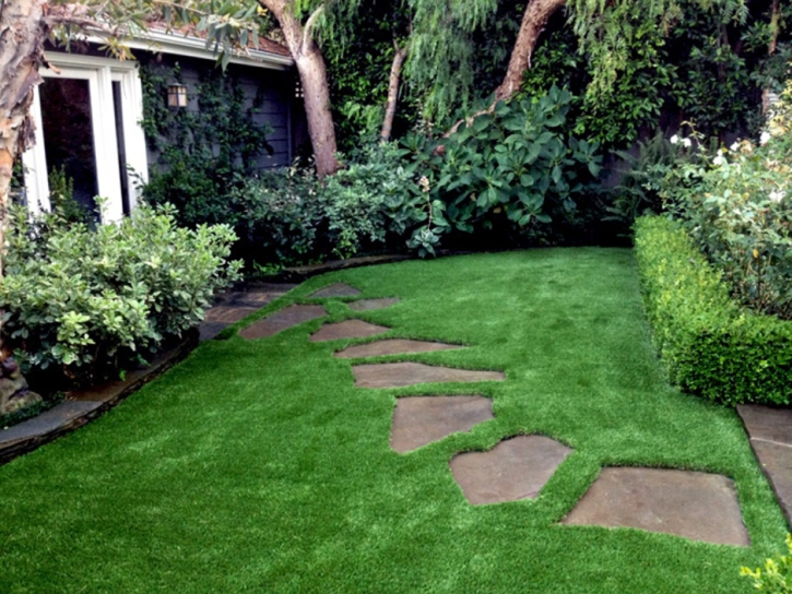 Synthetic Turf Meiners Oaks, California City Landscape, Beautiful Backyards