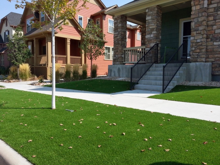 Synthetic Turf Piru, California Rooftop, Front Yard Landscaping