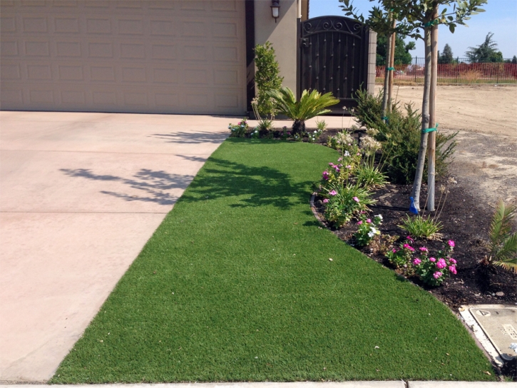 Synthetic Turf Port Hueneme, California Landscape Ideas, Front Yard Landscape Ideas