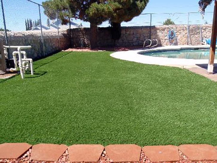 Synthetic Turf Santa Clarita, California Landscaping Business, Swimming Pool Designs