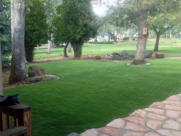 Synthetic Turf Supplier Baldwin Park, California Landscape Design, Front Yard