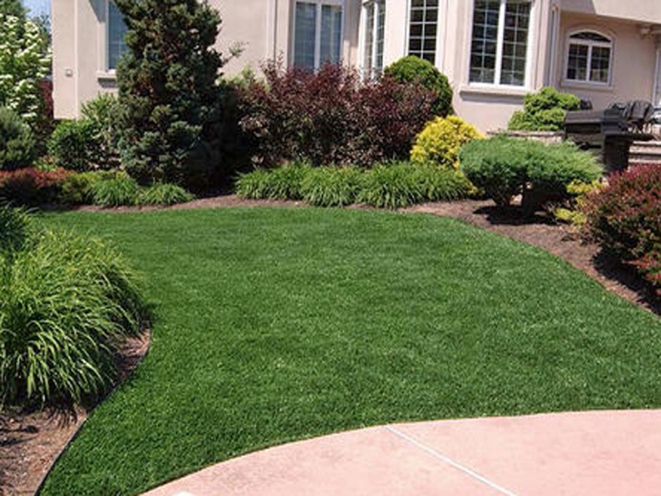 Synthetic Turf Supplier Carson, California City Landscape, Front Yard Landscaping