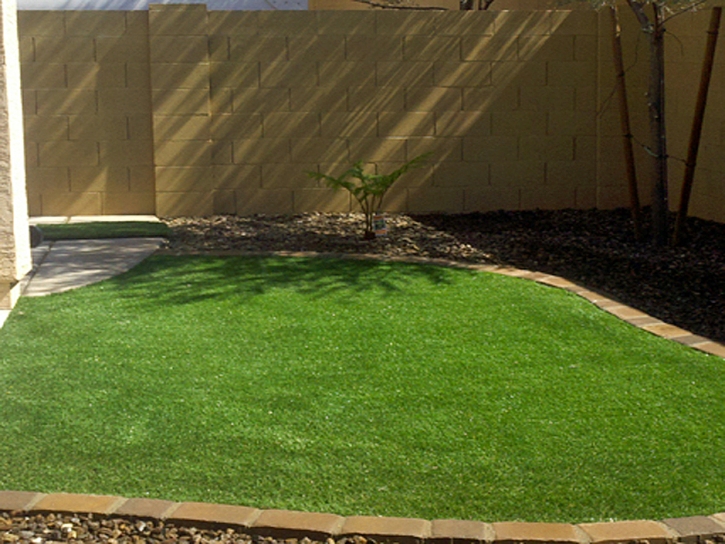 Synthetic Turf Supplier Cuyama, California Landscape Ideas, Backyard