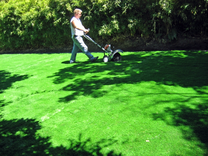 Synthetic Turf Supplier Keene, California Home And Garden, Backyard Landscape Ideas