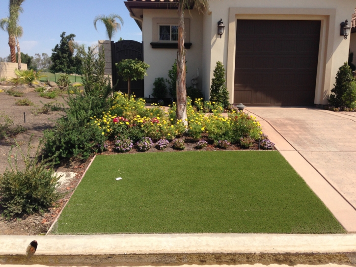 Synthetic Turf Supplier Meiners Oaks, California Paver Patio, Small Front Yard Landscaping