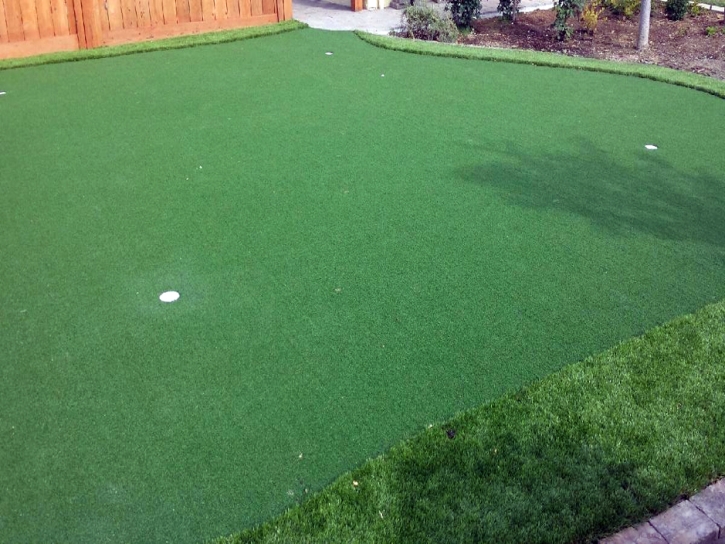 Synthetic Turf Supplier Mexican Colony, California Backyard Playground