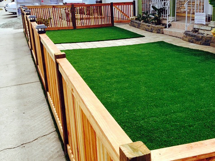 Synthetic Turf Supplier North Glendale, California Landscape Photos, Front Yard Landscaping Ideas