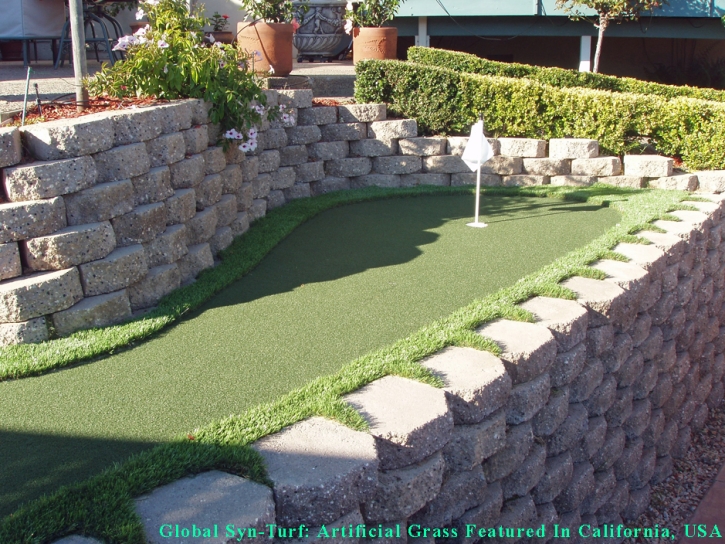 Synthetic Turf Supplier Oxnard, California Best Indoor Putting Green, Backyard Makeover