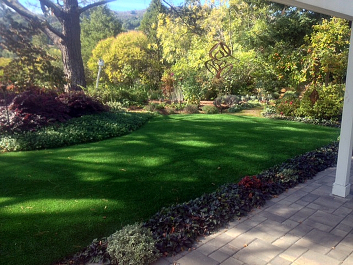 Synthetic Turf Supplier Santa Ana, California Landscaping, Backyard Makeover