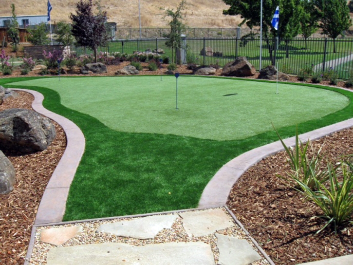 Synthetic Turf Supplier Sherman Oaks, California Home Putting Green, Backyard Landscape Ideas