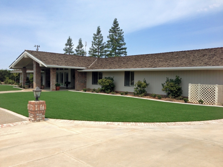 Turf Grass Arcadia, California Lawns, Small Front Yard Landscaping