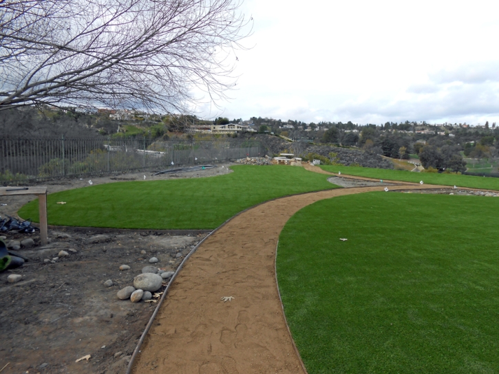 Turf Grass Arroyo Grande, California Home And Garden