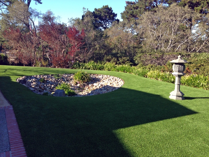 Turf Grass Chatsworth, California Landscaping Business, Backyard Garden Ideas