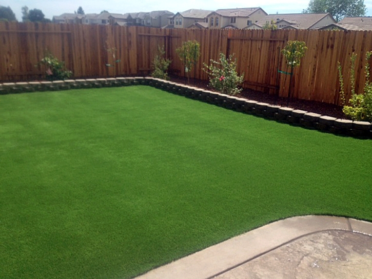 Turf Grass Edwards Air Force Base, California Roof Top, Backyard Landscape Ideas