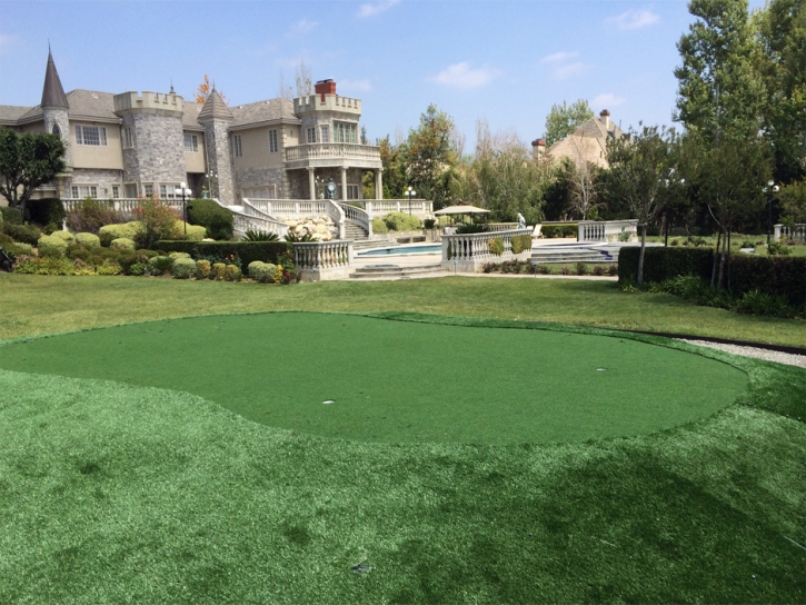 Turf Grass Isla Vista, California City Landscape, Landscaping Ideas For Front Yard