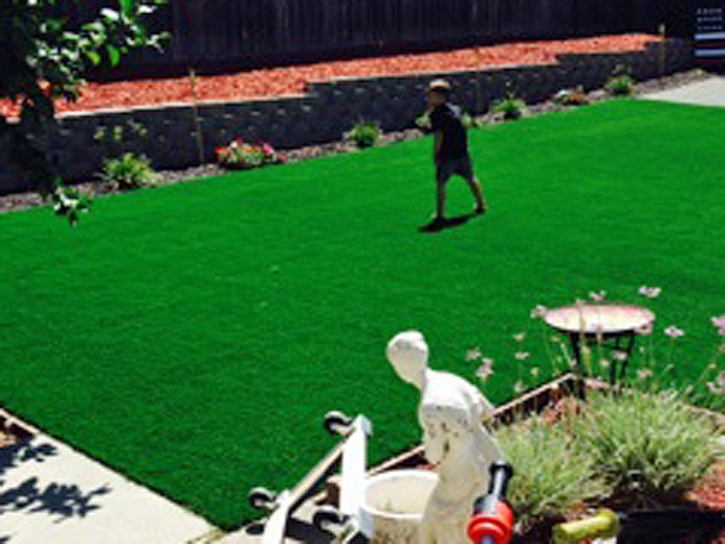 Turf Grass Las Flores, California Lawn And Landscape, Backyard Landscaping Ideas