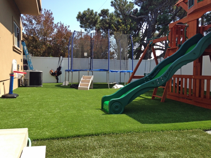 Turf Grass Littlerock, California Rooftop, Backyard Landscaping Ideas