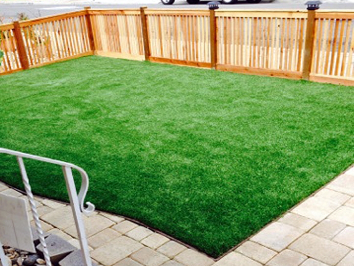 Turf Grass Marina del Rey, California Backyard Deck Ideas, Backyard Garden Ideas