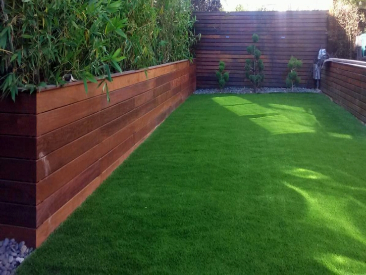 Turf Grass Nipomo, California Landscape Design, Backyard Landscape Ideas