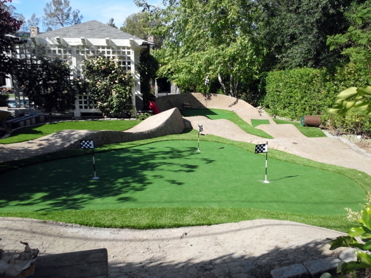 Turf Grass Pasadena, California City Landscape, Backyards