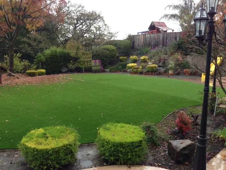 Turf Grass South San Jose Hills, California Lawn And Landscape, Backyard Garden Ideas