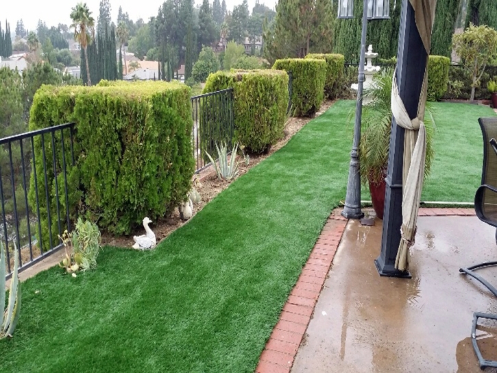 Turf Grass West Rancho Dominguez, California Landscaping Business, Backyard Landscaping Ideas